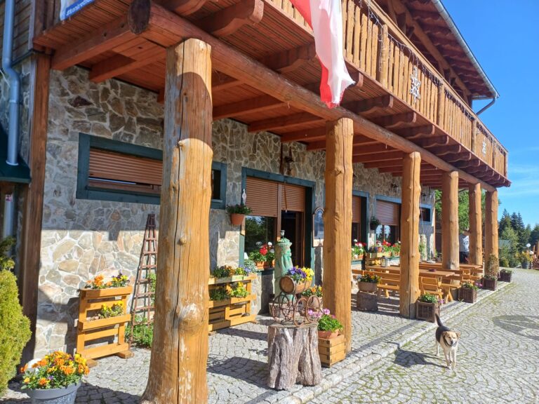 Zdjęcie WhatsApp 2024-05-30 o 13.05.17_7bcec3ae