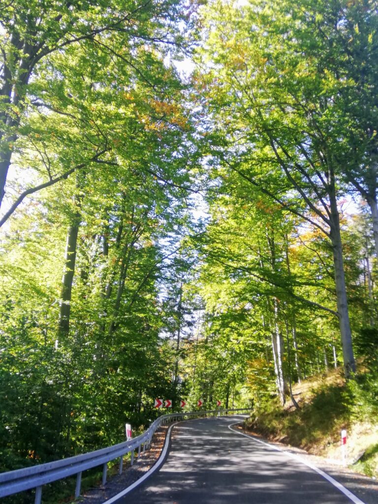 IMG-20211004-WA0006